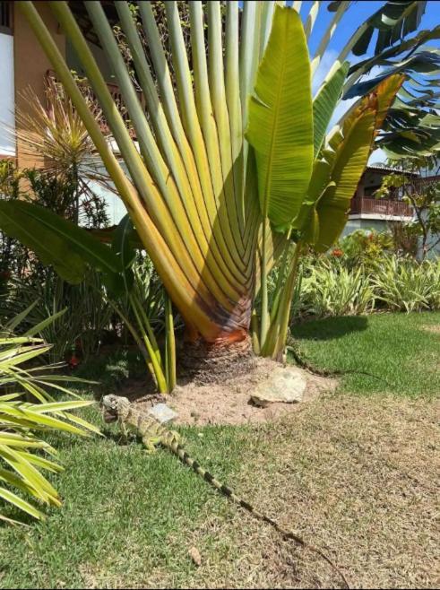 Villa Da Enseada, برايا دو فورتي المظهر الخارجي الصورة