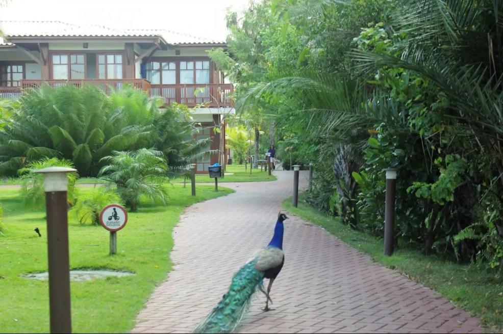 Villa Da Enseada, برايا دو فورتي المظهر الخارجي الصورة